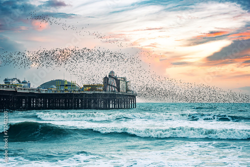 Murmuration around Brighton pier winter time as Starling bird return, East Sussex, UK photo