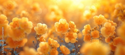 the sun is shining behind the yellow flowers, in the style of molecular structures
