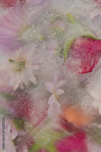 abstract background with frozen red roses and pink gerber flowers in ice water 