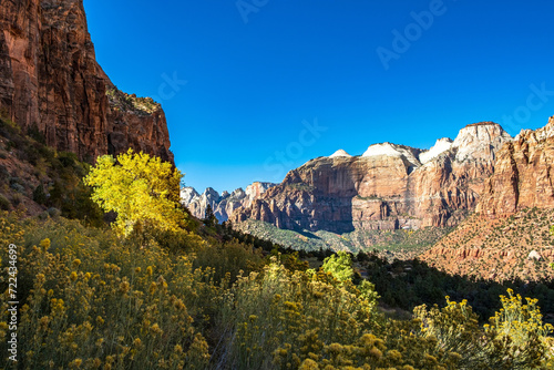 Zion National Park in Utah - View from Angel's Landing Trail - 4K Ultra HD Image of Stunning Canyon Scenery