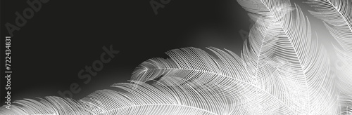  Background of flying realistic vector  goose or swan white feathers.Ecological feather filler for pillows, blankets or jackets.Vector concept design.
