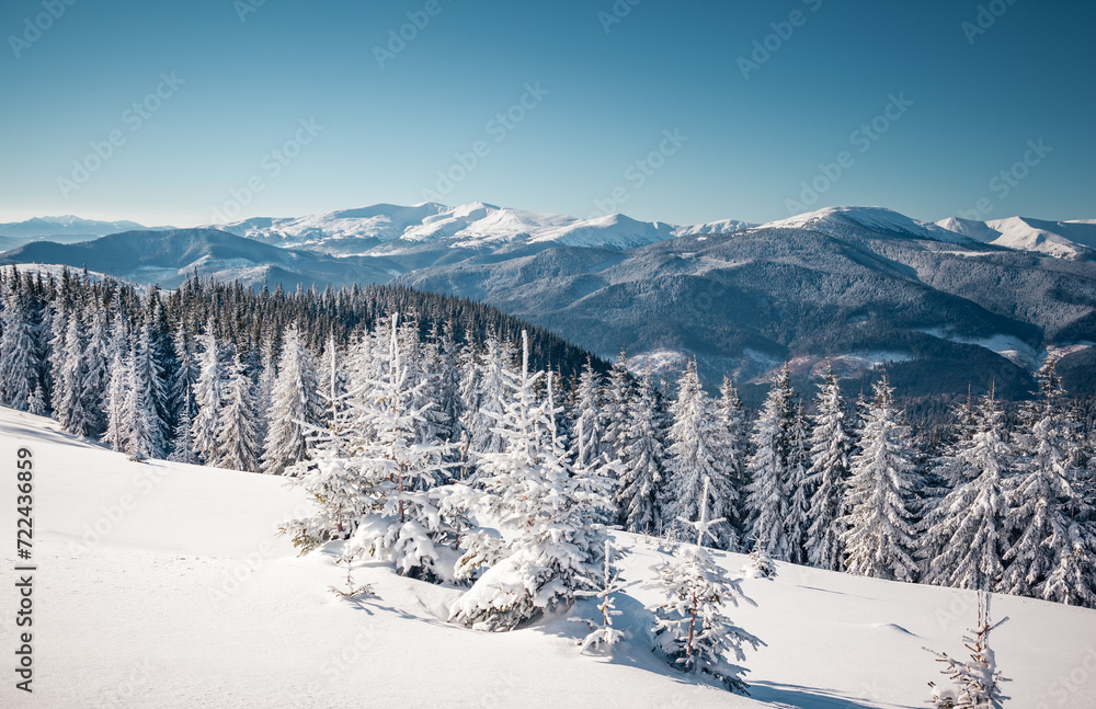 Exotic winter landscape with snowy slopes on a frosty day.