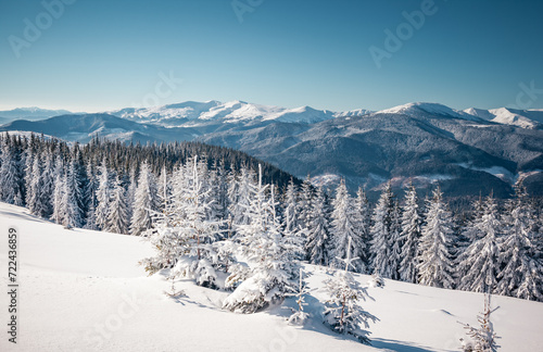 Exotic winter landscape with snowy slopes on a frosty day. © Leonid Tit