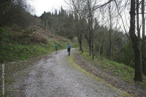 walking in the woods