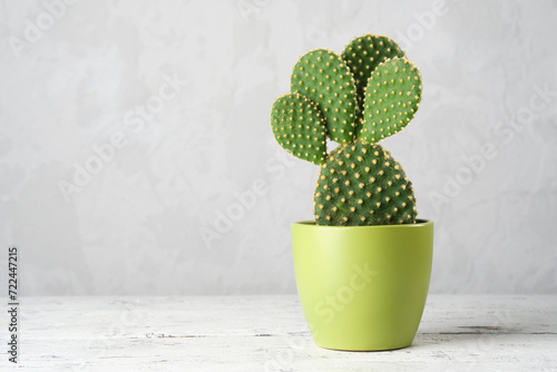 Prickly pear cactus opuntia  in a green pot on a white table. Copy space for text.