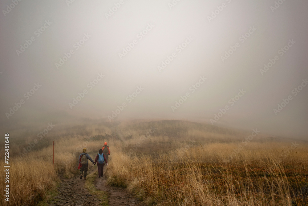 trails between tall yellow autumn grasses in the fog trails between tall yellow autumn grasses in the fog