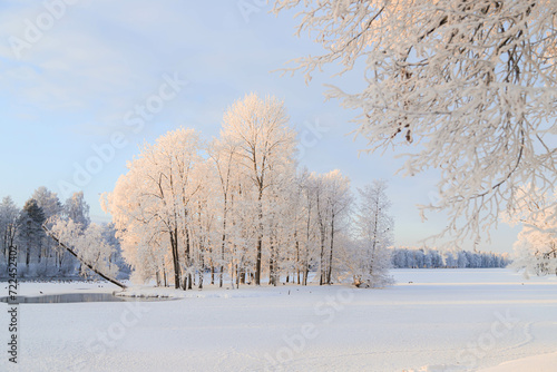 Winter snowy park landscape . the screensaver is winter . a snowy picture . the cover photo . frost © alenka2194