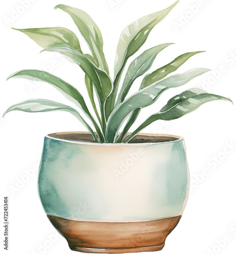 Watercolor PNG Illustration of a Plant in a Pot (ID: 722453414)