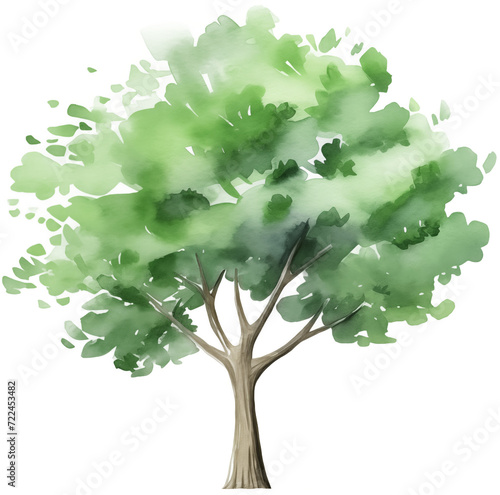 Watercolor PNG Illustration of a Tree Plant Bush (ID: 722453482)