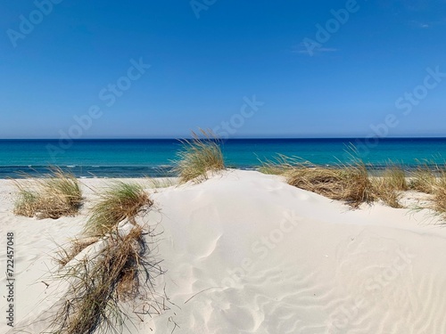Fototapeta Naklejka Na Ścianę i Meble -  White Sardinia beach desert