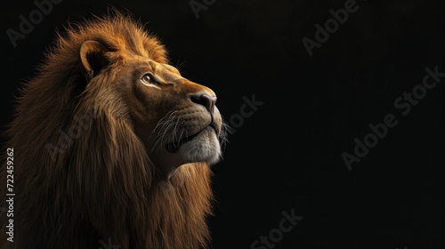  a close up of a lion s face on a black background with a light shining on the lion s head.