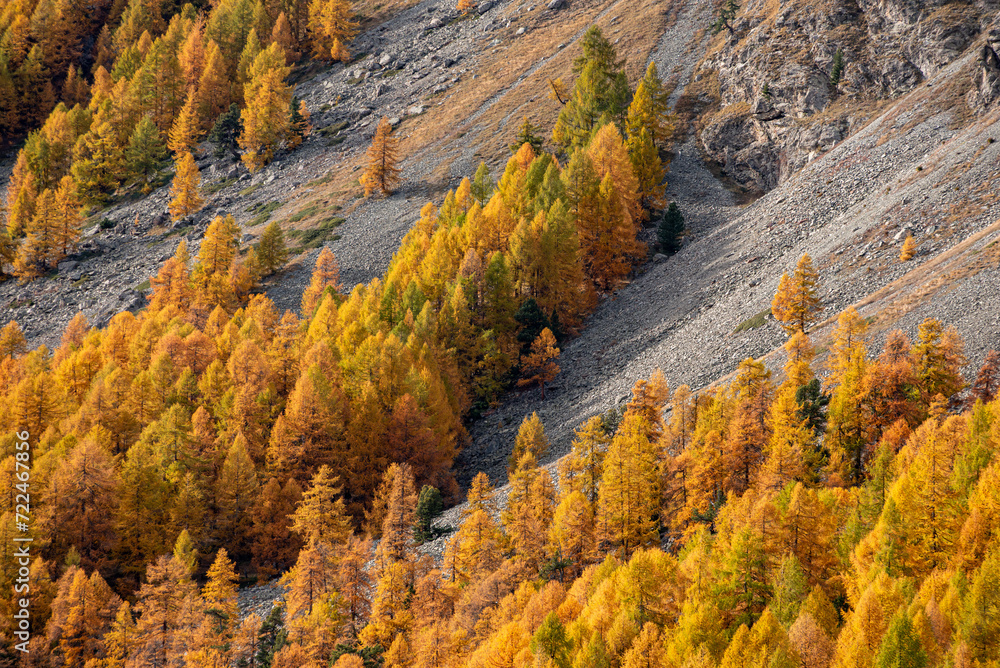 Scenic autumn landscape at lake Silvaplana near St. Moritz