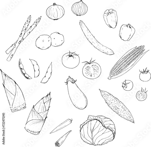 春と夏の野菜のペン画　円デザイン