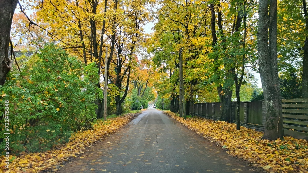 Village asphalt road among trees covered with yellow and green leaves in autumn