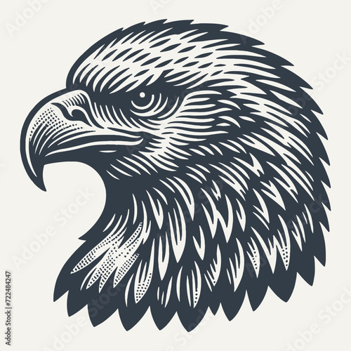 Eagle Head. Vintage woodcut engraving style vector illustration.