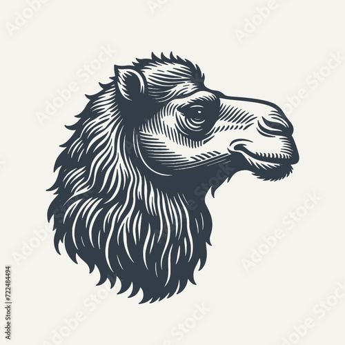 Camel Head. Vintage woodcut engraving style vector illustration.