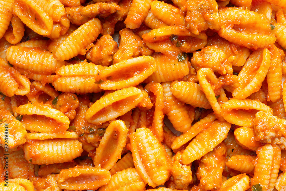 gnocchetti pasta in sausage tomato sauce gnocchetti pasta in sausage tomato sauce