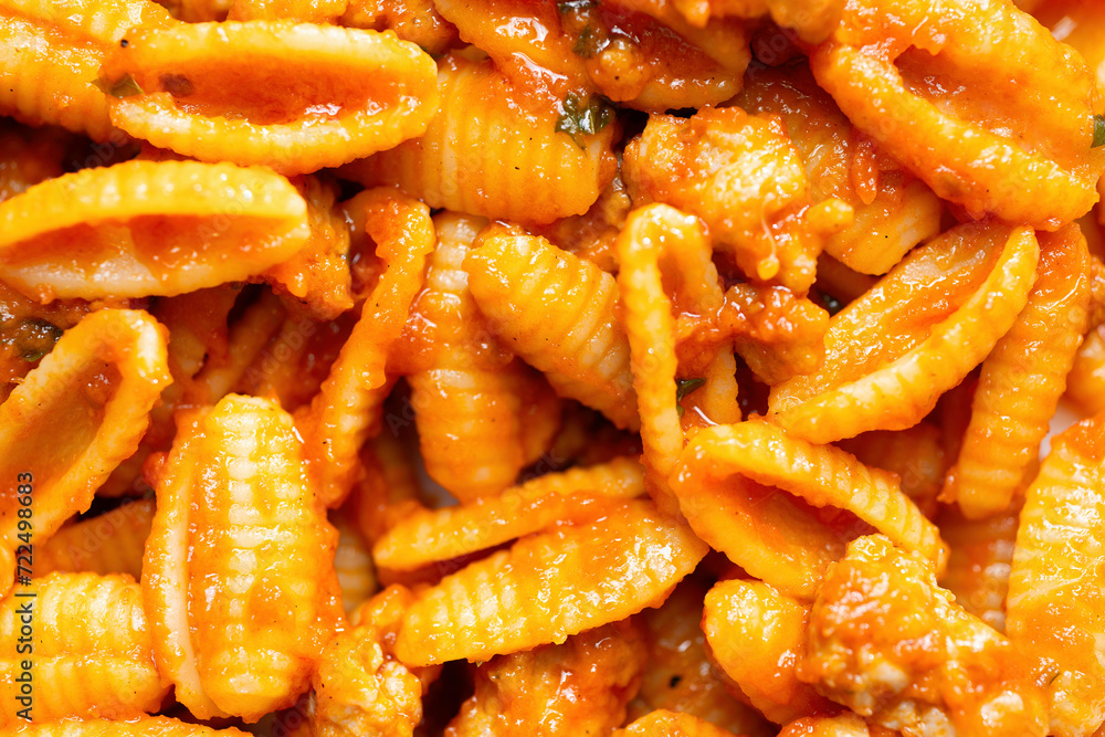 gnocchetti pasta in sausage tomato sauce