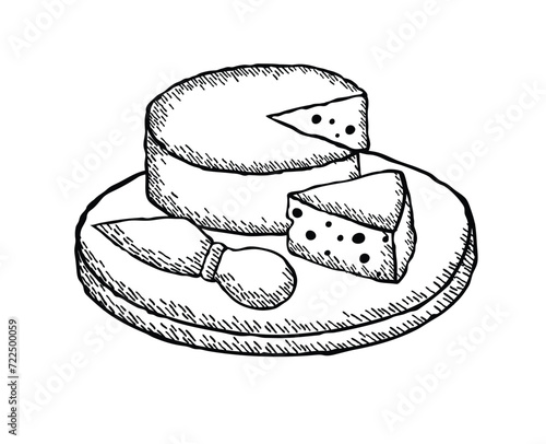 Vector illustration of a cheese on a board 