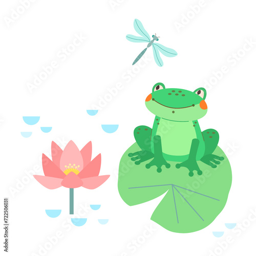 Cute green frog sits on water lily leaf in pond with blooming lotus flowers and looks at flying dragonfly. Vector baby illustration on white isolated background.