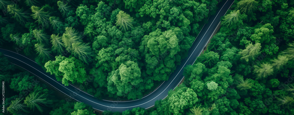 Aerial view of winding road through dense green forest.
