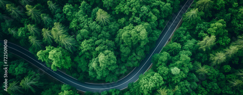 Aerial view of winding road through dense green forest. 