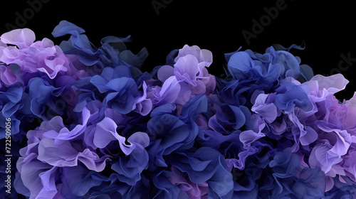  a close up of a bunch of flowers on a black background with a black background and a black back ground. photo