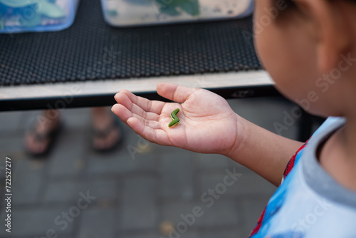 A boy's hand holding green caterpillar as part of school's science project. Selective focus.