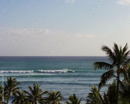 Tropical Ocean Landscape, Palm Trees, Waves, Hawaii, Blue Water, Ocean View