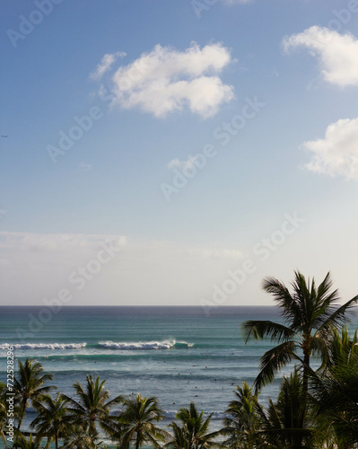Tropical Ocean Landscape, Palm Trees, Waves, Hawaii, Blue Water, Ocean View