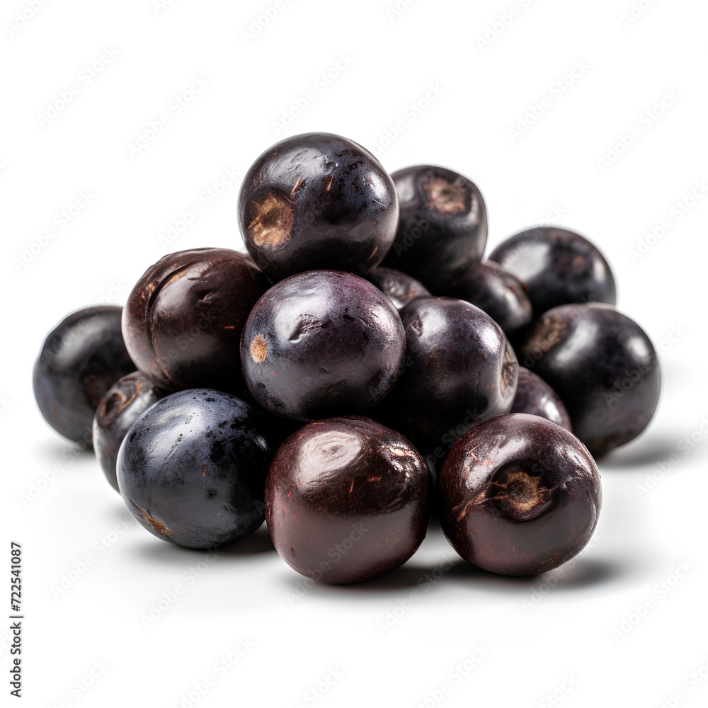black currant black currant