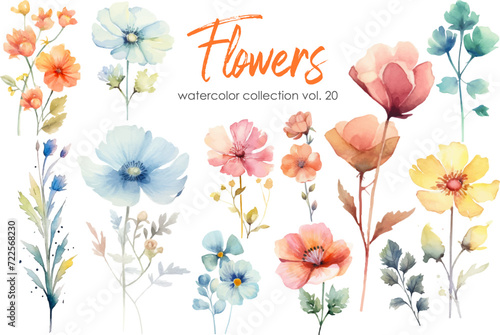 Watercolor flowers collection. Hand drawn floral vector elements isolated on white background.Botanic Wedding floral design.