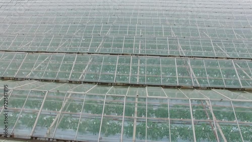 Glass roofs of glassroof gardens warm houses with plants photo