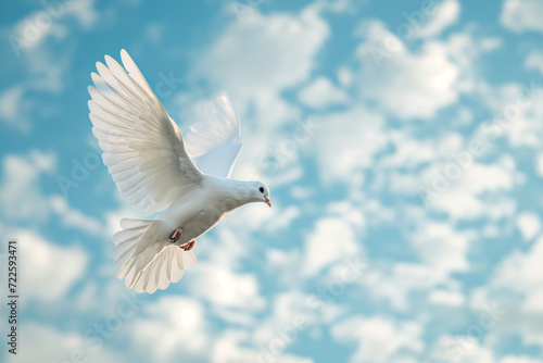 White Bird Soaring Through Cloudy Blue Sky