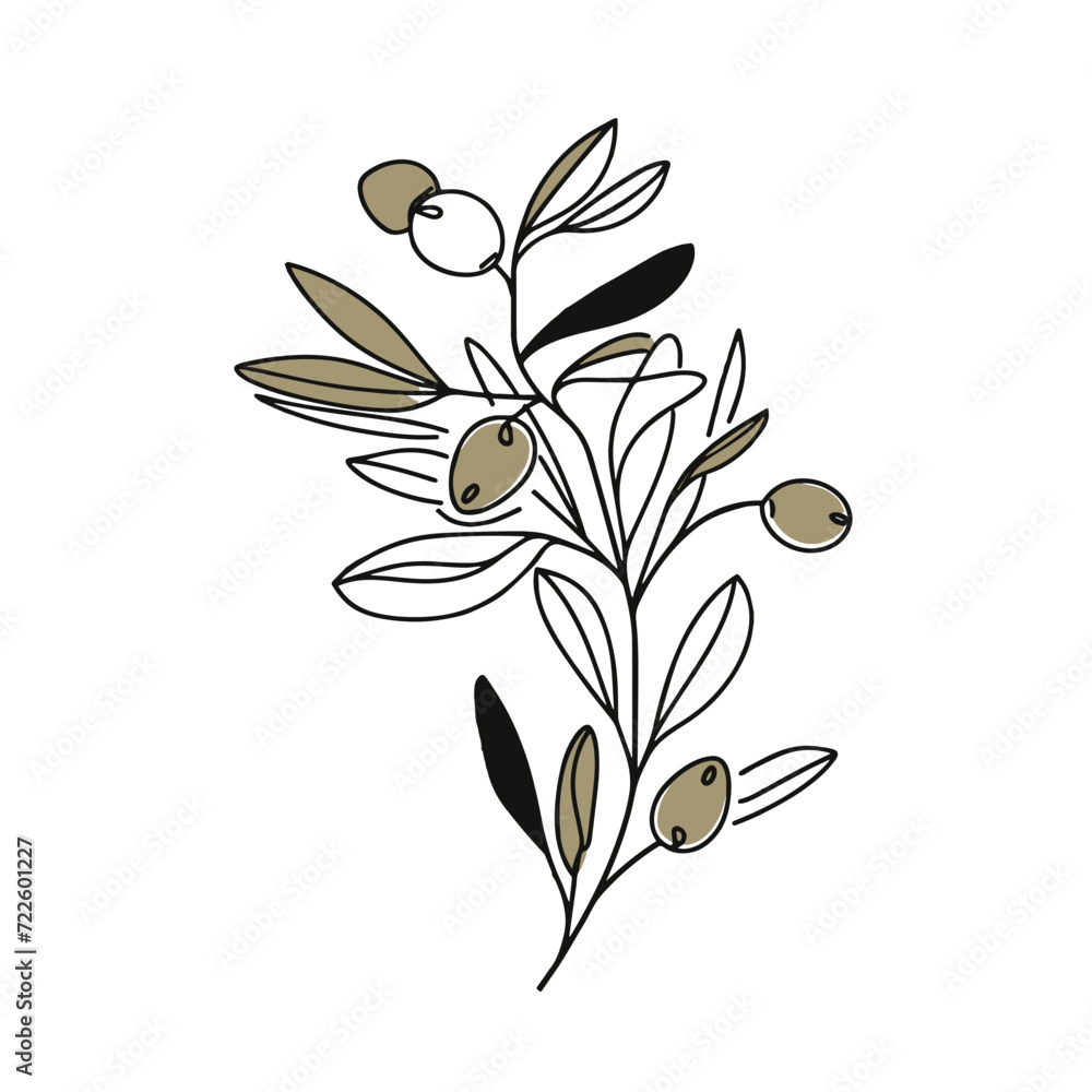 Olive branch with olives simple line art drawing Olive branch with olives simple line art drawing