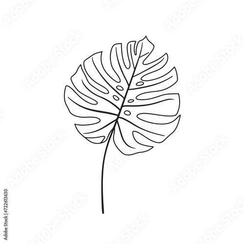 Tropical monstera palm leaf line art illustration