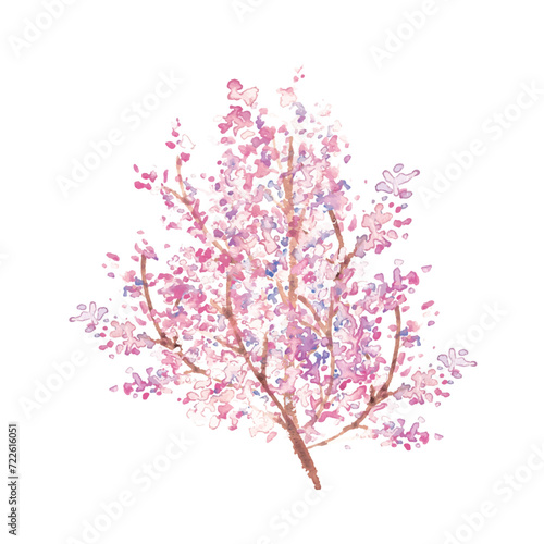                                                                   Watercolor painting. Spring cherry blossom vector illustration with watercolor touch. Cherry blossoms with petals in full bloom. Japanese style cherry blossom illustration.