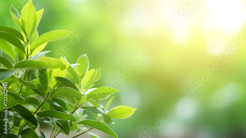 natural green leaves with bokeh spring lights background