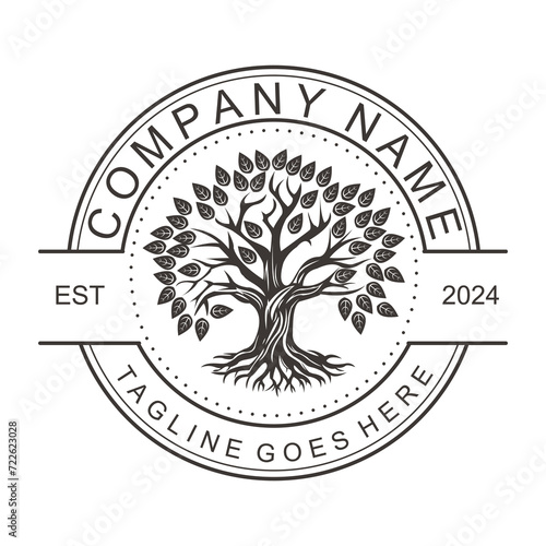 Root Leaf Family Tree of Life Oak Banyan Maple Stamp Seal Emblem Label logo design vector photo