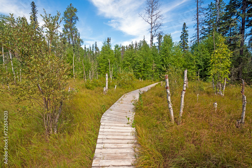 Boardwalk Through the Boreal Forest