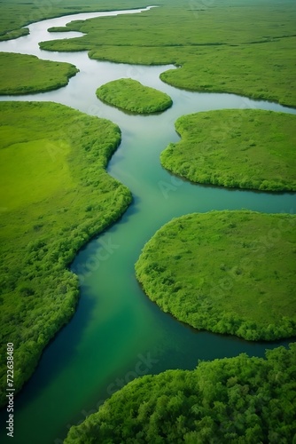 Experience the breathtaking beauty of a lush green wetland from a bird's eye view concept of world wetlands day 2024