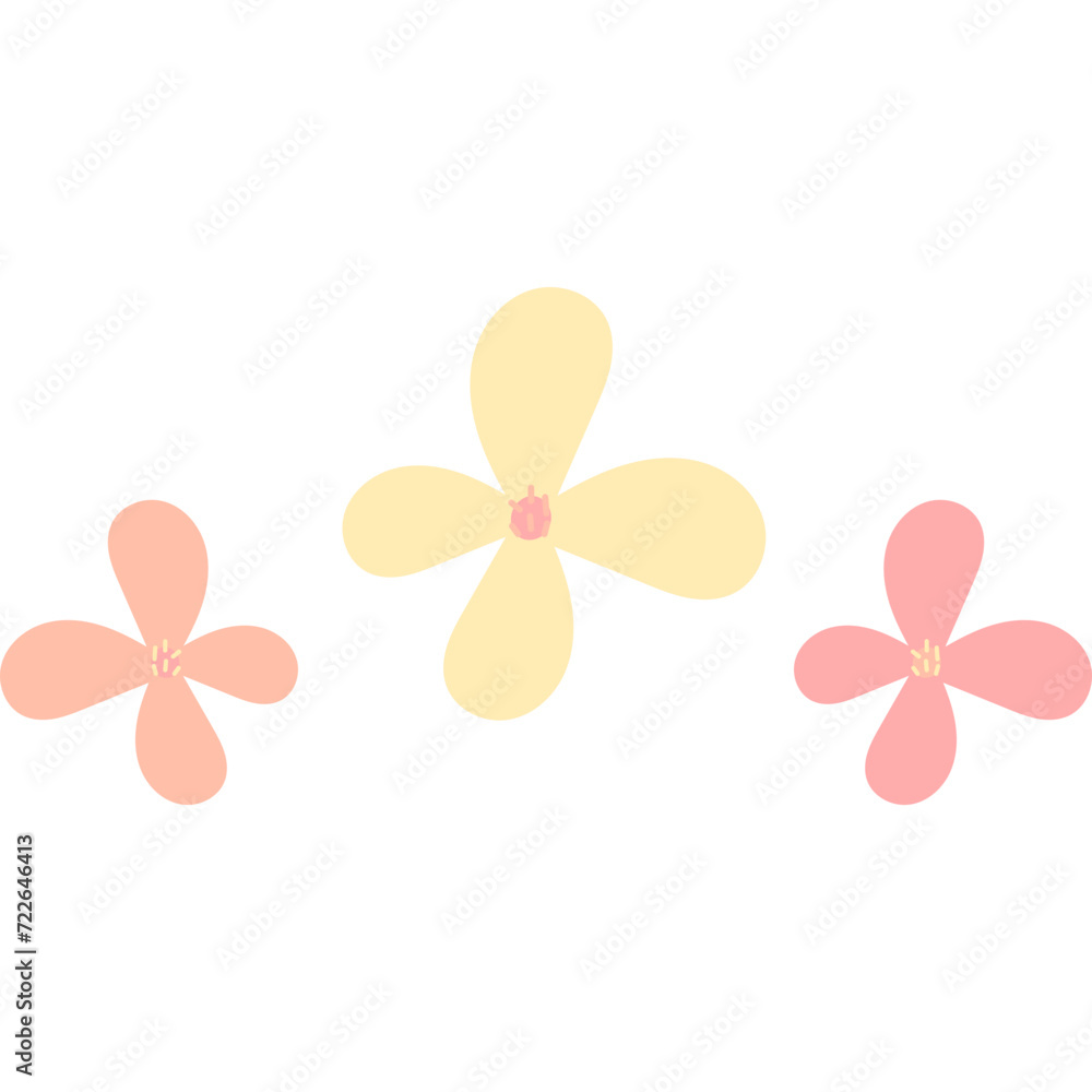 Fototapeta premium Flower Abstract Decoration