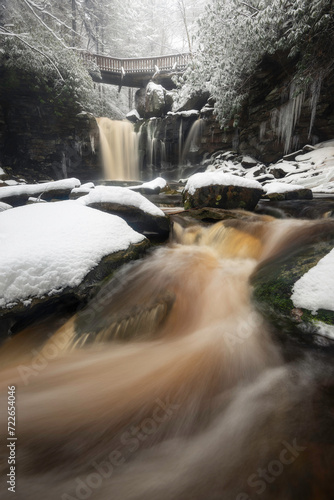 Tannic acid stains the waters of Shays Run brown which contrasts against the white, fresh snowfall.