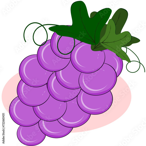 Grapes, Thai fruit, vector illustration set of Thai fruits.