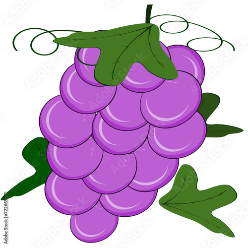 Grapes, Thai fruit, vector illustration set of Thai fruits.