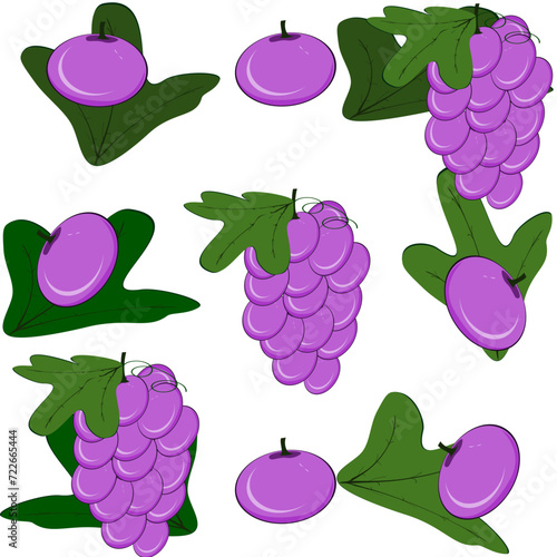 Grapes, Thai fruit, vector illustration set of Thai fruits.