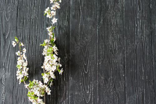 Spring cherry blossoms on old wooden background. Spring concept