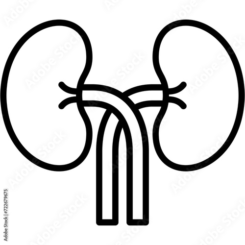 Kidneys Icon