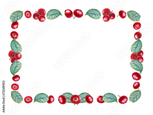 Horizontal frame of ripe red bearberries. Cowberry, lingonberry. Forest red berries with green leaves. Watercolor illustration isolated on white. Space for text. For postcard design, template