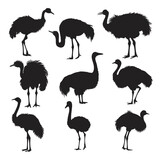  ostrich silhouette vector set design